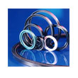 Oil seal